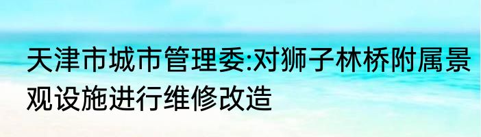 天津市城市管理委:对狮子林桥附属景观设施进行维修改造