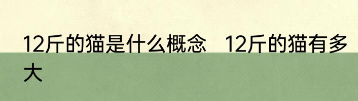 12斤的猫是什么概念   12斤的猫有多大