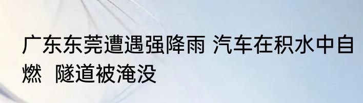 广东东莞遭遇强降雨 汽车在积水中自燃  隧道被淹没