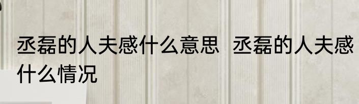 丞磊的人夫感什么意思  	丞磊的人夫感什么情况