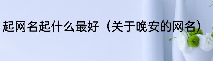 起网名起什么最好（关于晚安的网名）