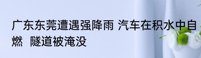 男子不信台风威力开门被吹翻在地 内幕曝光简直太意外了