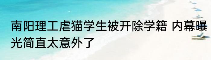 南阳理工虐猫学生被开除学籍 内幕曝光简直太意外了