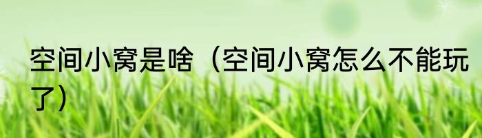 空间小窝是啥（空间小窝怎么不能玩了）