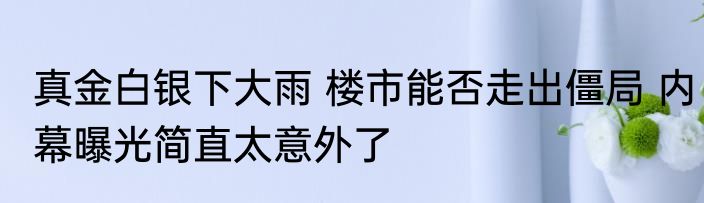 真金白银下大雨 楼市能否走出僵局 内幕曝光简直太意外了