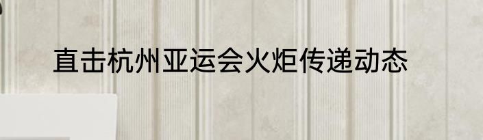 直击杭州亚运会火炬传递动态