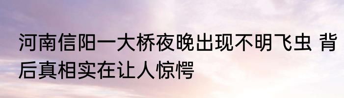 河南信阳一大桥夜晚出现不明飞虫 背后真相实在让人惊愕