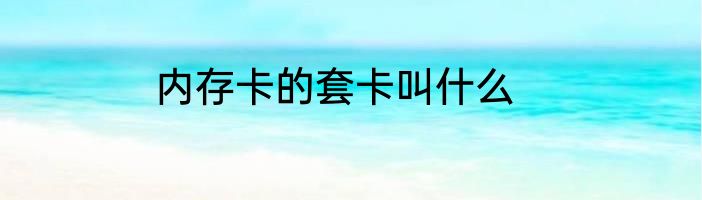 内存卡的套卡叫什么