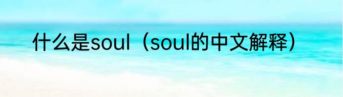 什么是soul（soul的中文解释）