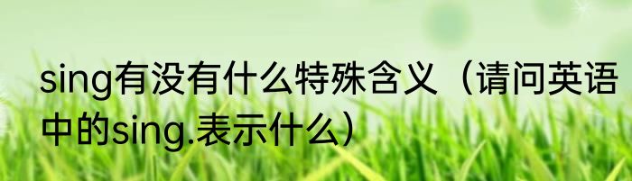 sing有没有什么特殊含义（请问英语中的sing.表示什么）