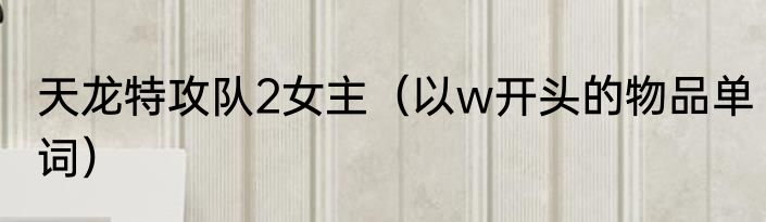 天龙特攻队2女主（以w开头的物品单词）