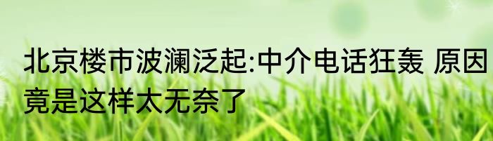 北京楼市波澜泛起:中介电话狂轰 原因竟是这样太无奈了