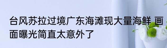 台风苏拉过境广东海滩现大量海鲜 画面曝光简直太意外了