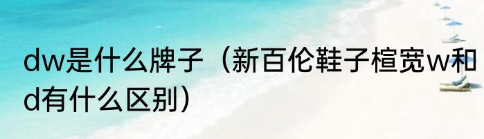dw是什么牌子（新百伦鞋子楦宽w和d有什么区别）