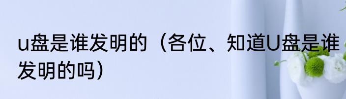 u盘是谁发明的（各位、知道U盘是谁发明的吗）