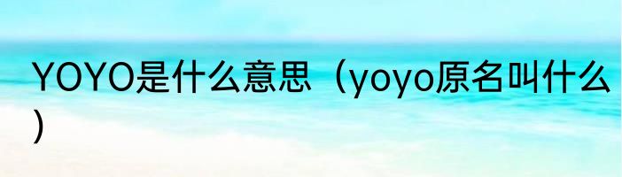 YOYO是什么意思（yoyo原名叫什么）