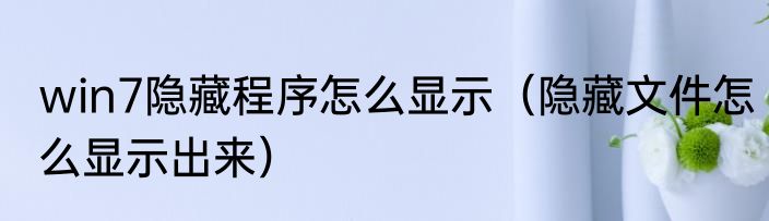 win7隐藏程序怎么显示（隐藏文件怎么显示出来）