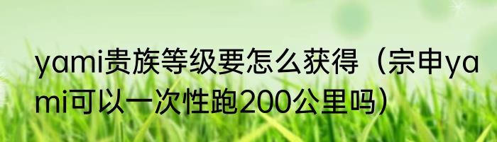 yami贵族等级要怎么获得（宗申yami可以一次性跑200公里吗）