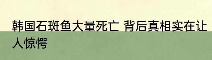 韩国石斑鱼大量死亡 背后真相实在让人惊愕