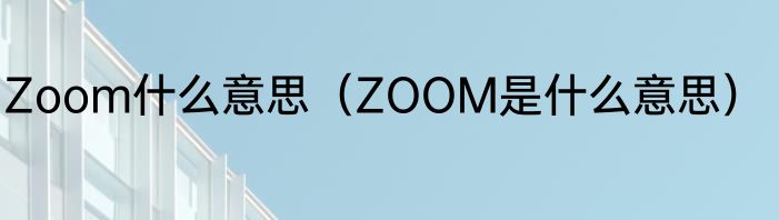 Zoom什么意思（ZOOM是什么意思）