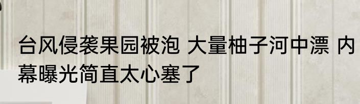 台风侵袭果园被泡 大量柚子河中漂 内幕曝光简直太心塞了