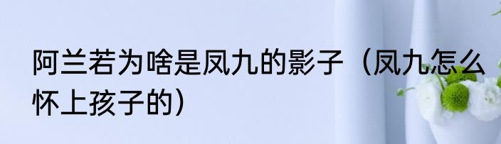 阿兰若为啥是凤九的影子（凤九怎么怀上孩子的）