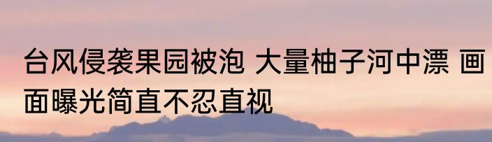 台风侵袭果园被泡 大量柚子河中漂 画面曝光简直不忍直视