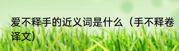 爱不释手的近义词是什么（手不释卷译文）