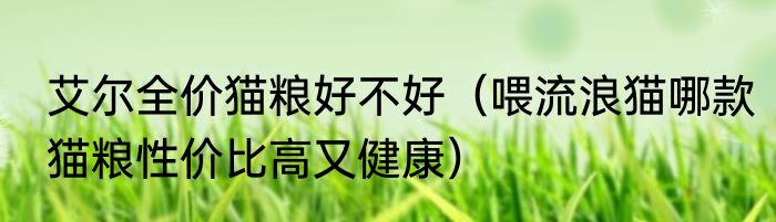 艾尔全价猫粮好不好（喂流浪猫哪款猫粮性价比高又健康）