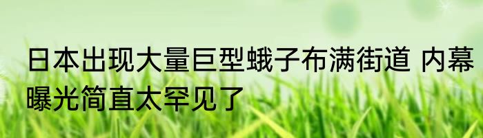 日本出现大量巨型蛾子布满街道 内幕曝光简直太罕见了