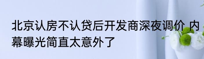 北京认房不认贷后开发商深夜调价 内幕曝光简直太意外了