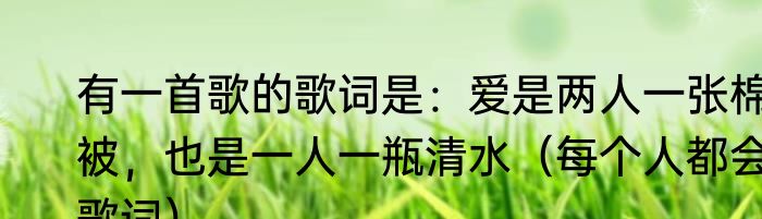 有一首歌的歌词是：爱是两人一张棉被，也是一人一瓶清水（每个人都会歌词）