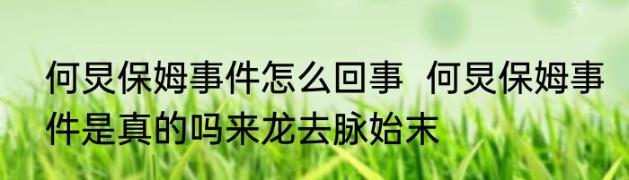 何炅保姆事件怎么回事  何炅保姆事件是真的吗来龙去脉始末