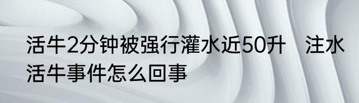 活牛2分钟被强行灌水近50升   注水活牛事件怎么回事