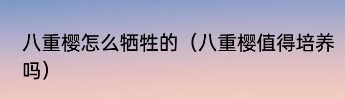 八重樱怎么牺牲的（八重樱值得培养吗）