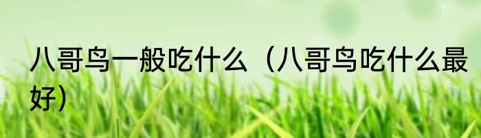 八哥鸟一般吃什么（八哥鸟吃什么最好）