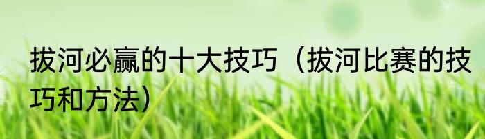 拔河必赢的十大技巧（拔河比赛的技巧和方法）