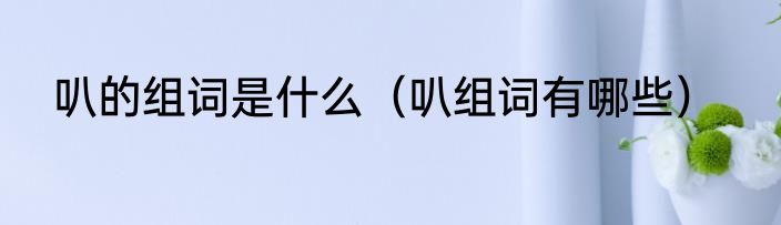 叭的组词是什么（叭组词有哪些）