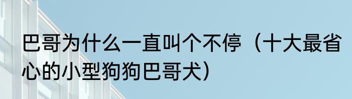 巴哥为什么一直叫个不停（十大最省心的小型狗狗巴哥犬）