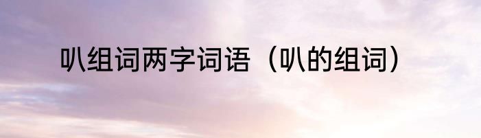 叭组词两字词语（叭的组词）