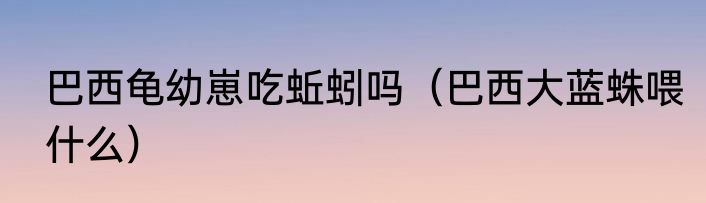 巴西龟幼崽吃蚯蚓吗（巴西大蓝蛛喂什么）