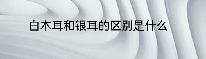 白木耳和银耳的区别是什么