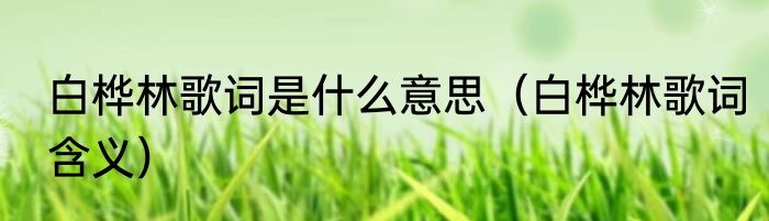 白桦林歌词是什么意思（白桦林歌词含义）