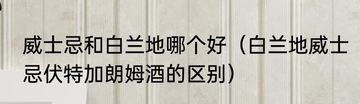 威士忌和白兰地哪个好（白兰地威士忌伏特加朗姆酒的区别）