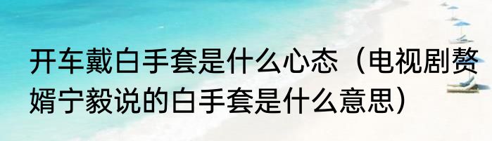 开车戴白手套是什么心态（电视剧赘婿宁毅说的白手套是什么意思）