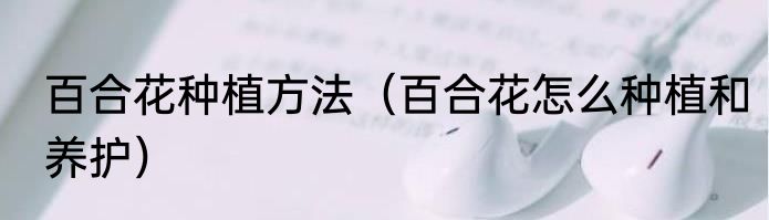 百合花种植方法（百合花怎么种植和养护）