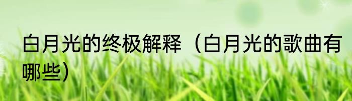 白月光的终极解释（白月光的歌曲有哪些）
