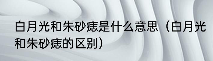 白月光和朱砂痣是什么意思（白月光和朱砂痣的区别）