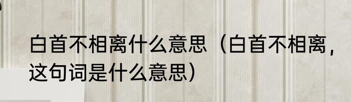 白首不相离什么意思（白首不相离，这句词是什么意思）