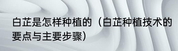 白芷是怎样种植的（白芷种植技术的要点与主要步骤）